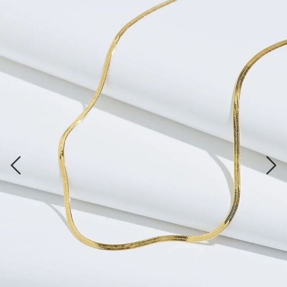 Madewell Jewelry - Madewell Delicate Collection Demi-Fine Skinny Herringbone Chain